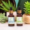 Tea-Tree & Rosemary Essential Oil, Pack of 2 (25ml each) by AGRO MANIA